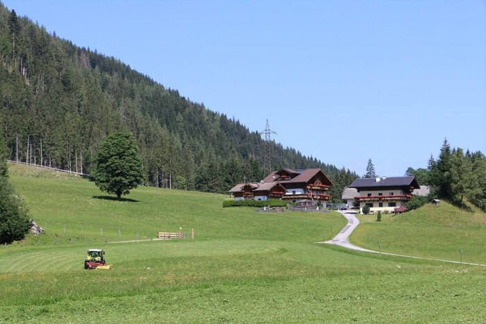 Idyllische Appartements in Flachau, umgeben von grünen Wiesen und Bergen.