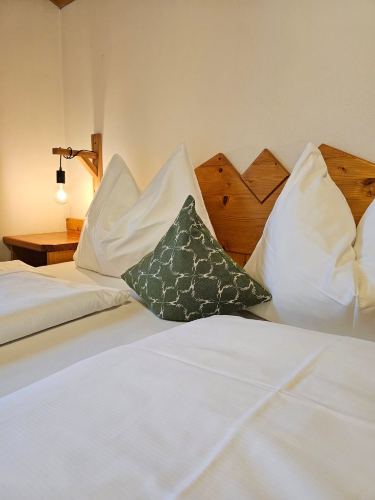 🌄 Hinterrohrgut - idyllische Appartements in Flachau 🏞️